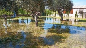 Finca rústica en zona rural de Fabara para vender con ventanas térmicas