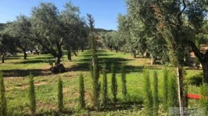 Foto de Finca rústica en zona rural de Fabara con ventanas térmicas