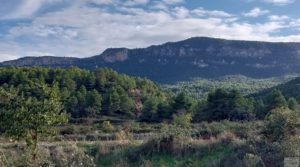 Masía típica cerca de Valderrobres a buen precio con buen acceso por 14.000€