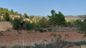 Detalle de Masía típica cerca de Valderrobres con buen acceso por 14.000€