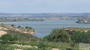 Vendemos Casa de piedra en Caspe con olivos