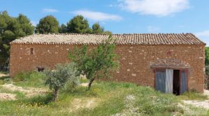 Casa de piedra en Caspe en oferta con olivos por 28.000€