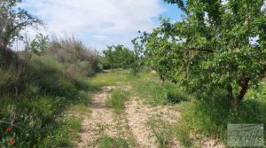 Casa de piedra en Caspe en oferta con almendros