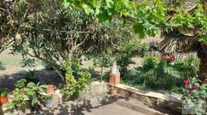 Detalle de Casa con huerto en Caspe con paneles solares