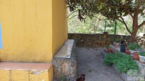 Detalle de Casa con huerto en Caspe con agua