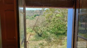 Detalle de Casa con huerto en Caspe con paneles solares