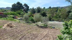 Casa con huerto en Caspe a buen precio con agua