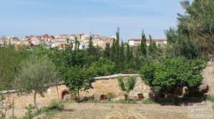 Vendemos Casa con huerto en Caspe con agua por 58.000€