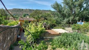 Vendemos Casa con huerto en Caspe con agua