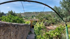 Casa con huerto en Caspe para vender con paneles solares por 58.000€