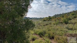 Foto de Gran finca con masía cerca del embalse. por 70.000€