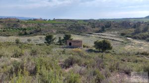 Gran finca con masía cerca del embalse. en venta por 70.000€