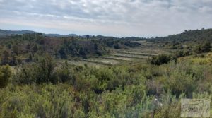 Gran finca con masía cerca del embalse. a buen precio