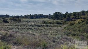 Gran finca con masía cerca del embalse. en oferta