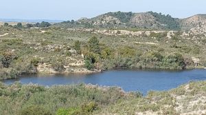 Detalle de Gran finca con masía cerca del embalse.