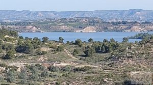 Foto de Gran finca con masía cerca del embalse. en venta