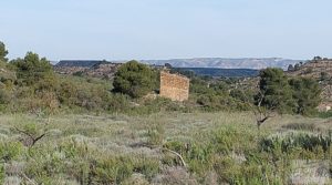 Gran finca con masía cerca del embalse. en venta