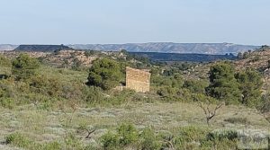 Detalle de Gran finca con masía cerca del embalse. por 70.000€