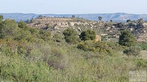 Foto de Gran finca con masía cerca del embalse. por 70.000€