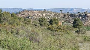 Foto de Gran finca con masía cerca del embalse. por 70.000€