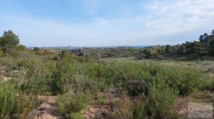 Gran finca con masía cerca del embalse. para vender