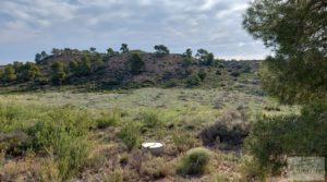 Vendemos Gran finca con masía cerca del embalse.