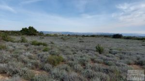 Gran finca con masía cerca del embalse. para vender