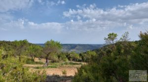 Se vende Gran masía tradicional en Fuentespalda. con buen acceso