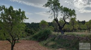 Foto de Gran masía tradicional en Fuentespalda. con buen acceso por 200.000€