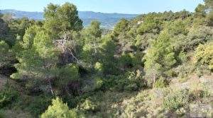 Gran masía tradicional en Fuentespalda. en venta con buen acceso por 200.000€