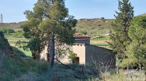 Se vende Torre en la huerta de Caspe. con regadío por 69.000€