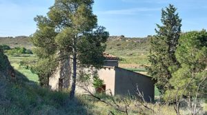 Torre en la huerta de Caspe. en venta con regadío