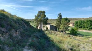 Torre en la huerta de Caspe. para vender con regadío