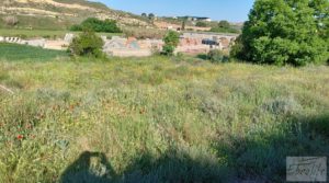 Torre en la huerta de Caspe. para vender con regadío