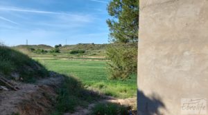 Vendemos Torre en la huerta de Caspe. con regadío por 69.000€