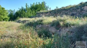 Detalle de Torre en la huerta de Caspe. con regadío