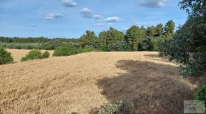 Foto de Finca en Cretas. en venta con buenos accesos