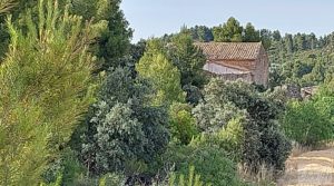 Foto de Finca en Cretas. con buenos accesos por 65.000€