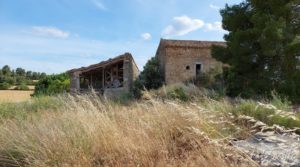 Foto de Finca en Cretas. en venta con buenos accesos