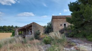 Detalle de Finca en Cretas. con buenos accesos por 65.000€