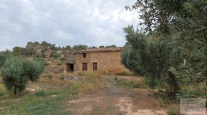 Foto de Finca de olivos de regadío a goteo en Caspe. en venta con regadío