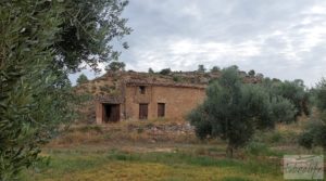 Detalle de Finca de olivos de regadío a goteo en Caspe. con regadío por 66.000€