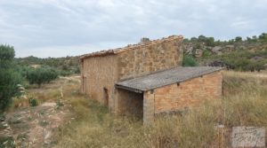 Vendemos Finca de olivos de regadío a goteo en Caspe. con regadío