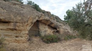 Finca de olivos de regadío a goteo en Caspe. a buen precio con regadío