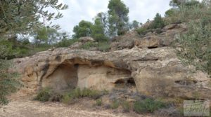 Finca de olivos de regadío a goteo en Caspe. en oferta con regadío