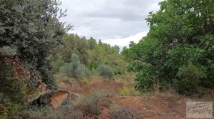 Foto de Finca en Calaceite. con tranquilidad y privacidad