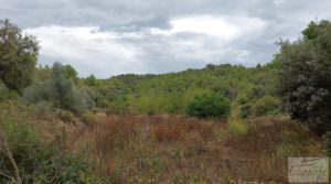 Detalle de Finca en Calaceite. con tranquilidad y privacidad