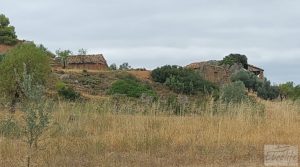 Se vende Finca en Ráfales. con almendros