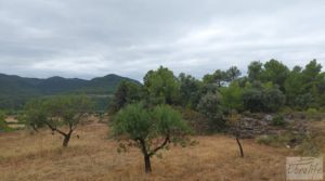 Finca en Ráfales. para vender con viñedos