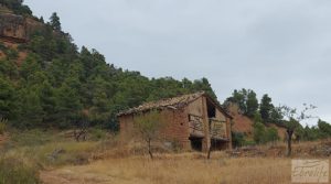 Finca en Ráfales. para vender con olivos centenarios